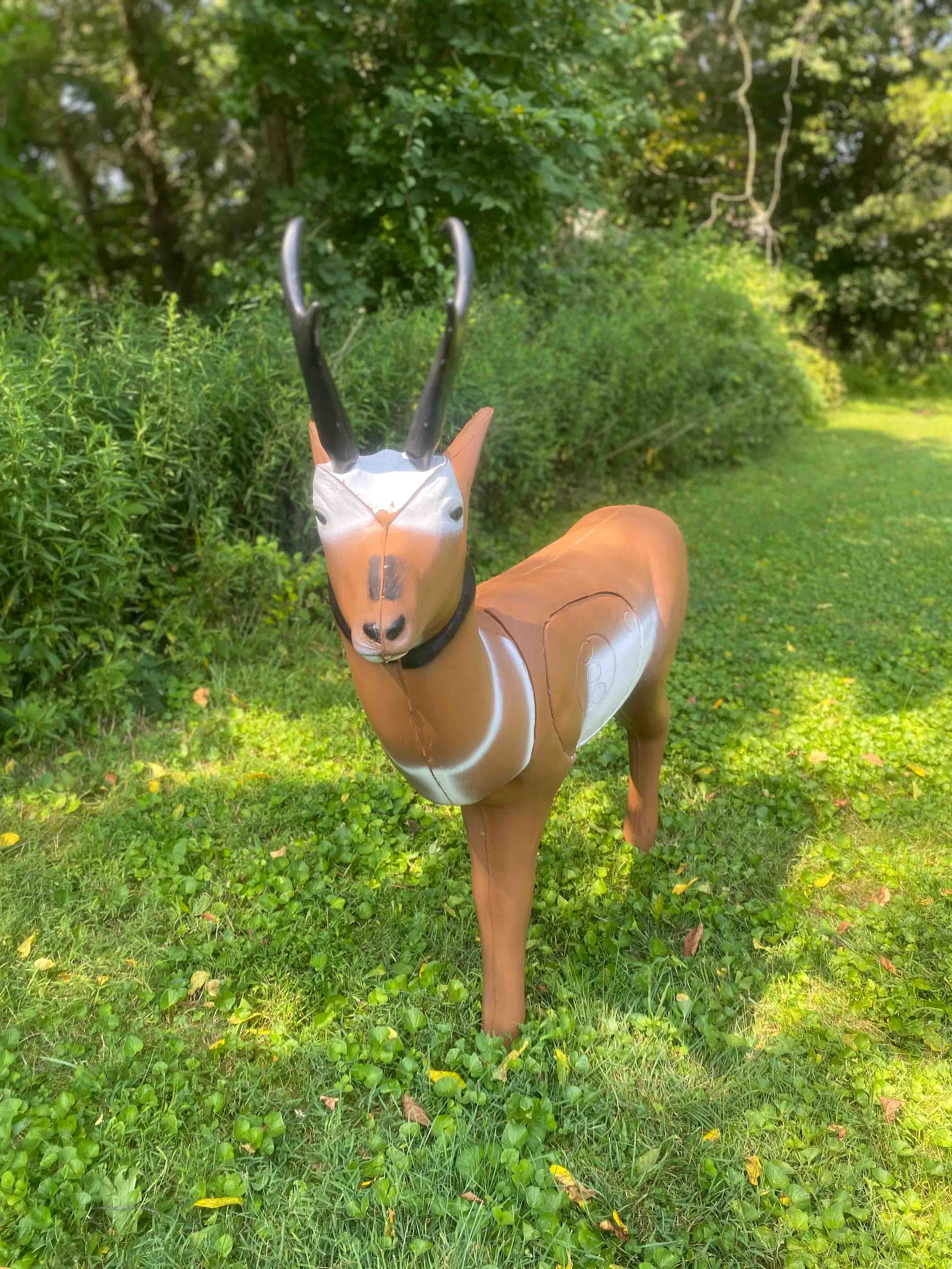 BIGshot Archery Real Wild 3D Pronghorn Antelope Archery Target - Image 4